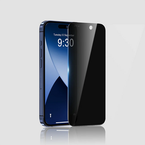 Privacy Tempered Glass Protector Clear iPhone 15 Pro